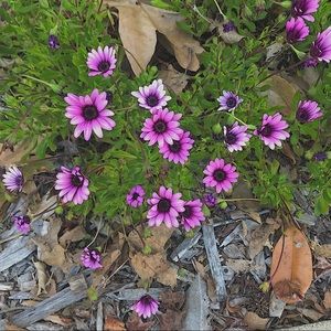 Meet your Posher, Ann